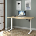 48 x 24 Inches Adjustable Office Desk with Electric Memory Preset Height