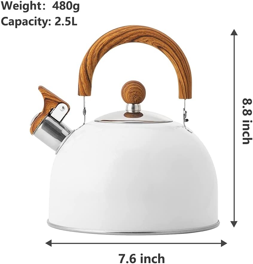 Stainless Steel Tea Kettle
