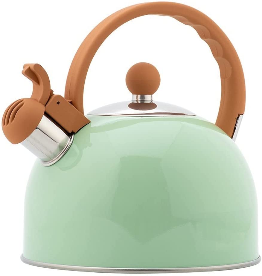 Stainless Steel Tea Kettle