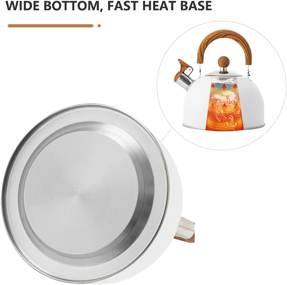 Stainless Steel Whistling Stove Pot with Ergonomic Gripping handle