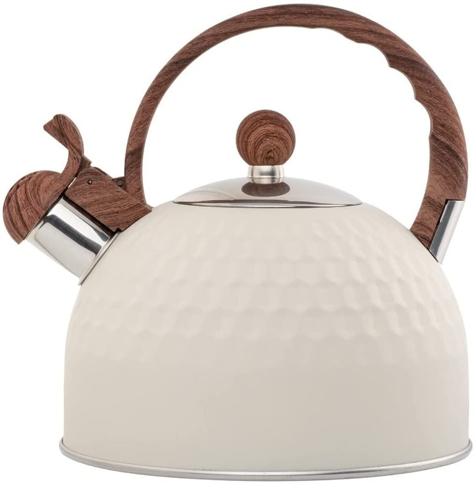 Stainless Steel Tea Kettle