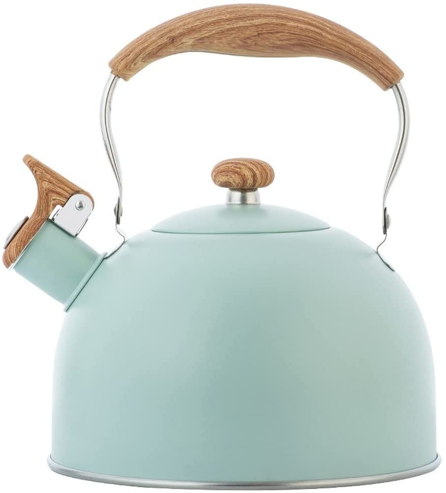 Stainless Steel Tea Kettle