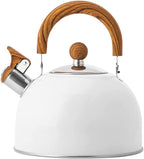 Stainless Steel Tea Kettle