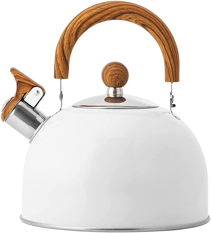 Stainless Steel Tea Kettle