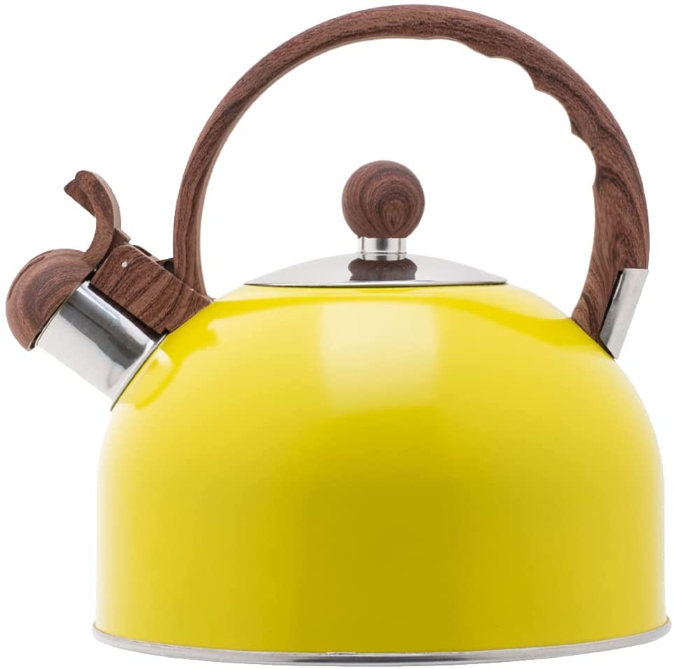 Stainless Steel Tea Kettle
