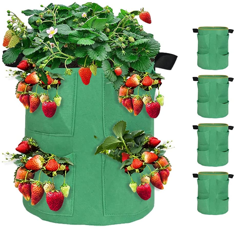 5 Pack 10 Gallon Green Strawberry Plant Grow Bags