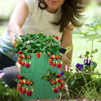 5 Pack 10 Gallon Green Strawberry Plant Grow Bags