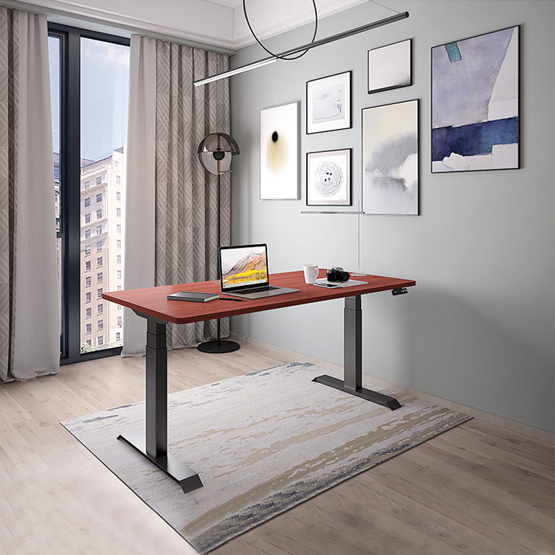 48 x 24 Inches Adjustable Office Desk with Electric Memory Preset Height