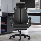 Professional Two-Back  Ergonomic Home Office Chair
