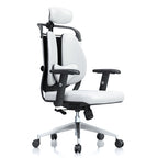 Comfortable Double-Back Office Home Chair