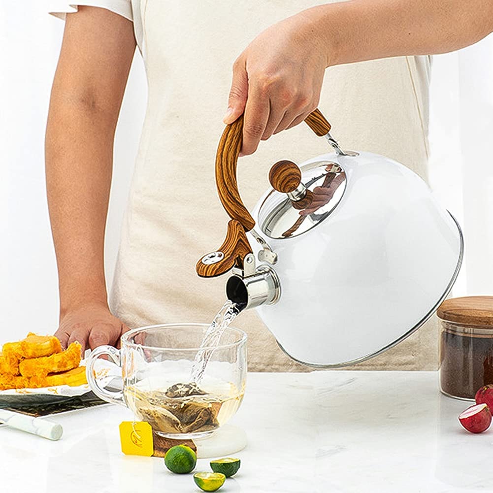 Stainless Steel Tea Kettle