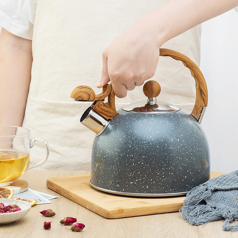 Stainless Steel Whistling Stove Pot with Ergonomic Gripping handle