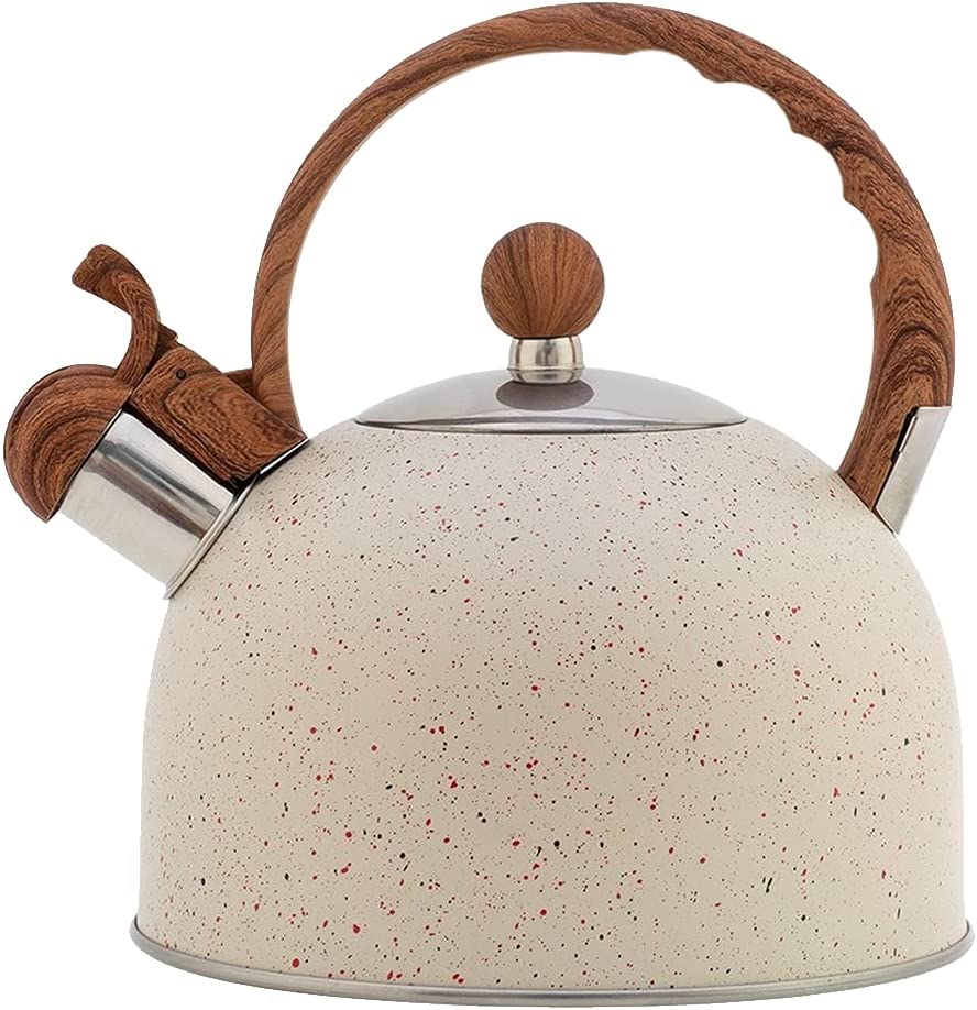 Stainless Steel Tea Kettle