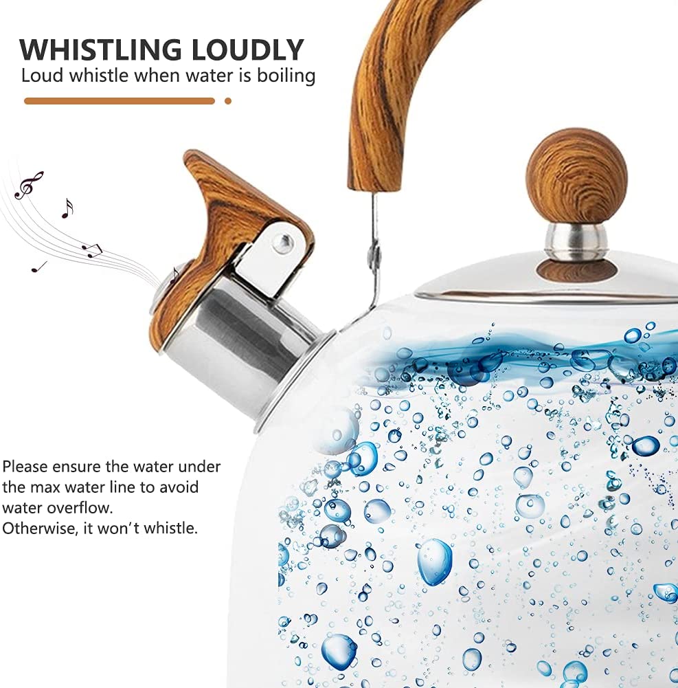 Stainless Steel Tea Kettle