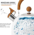 Stainless Steel Tea Kettle