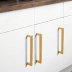 2 Pack Cabinet Handles