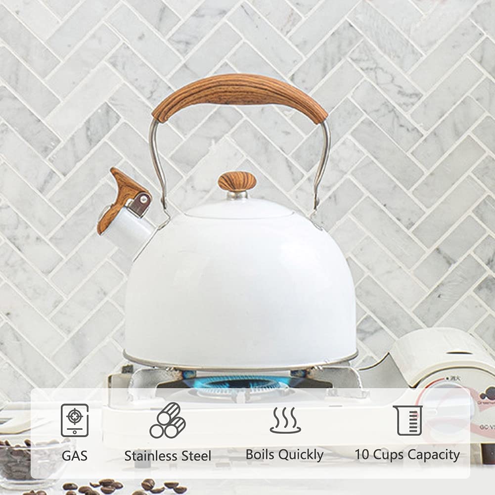Stainless Steel Tea Kettle