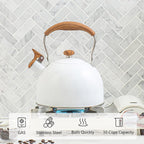 Stainless Steel Whistling Stove Pot with Ergonomic Gripping handle