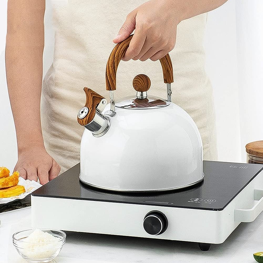 Stainless Steel Whistling Stove Pot with Ergonomic Gripping handle