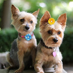 Dog Hair Bows Random Color 20 Pieces