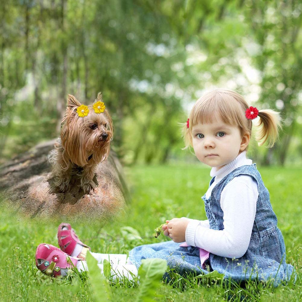 Dog Hair Bows Random Color 20 Pieces