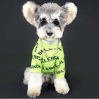 Luxury Classic Pet Sweater Jumper Dog Striped Cardigan Teddy Sweater Fashion Brand Dog Coat Clothes