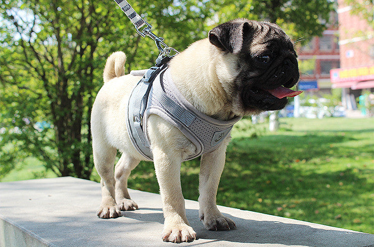 Custom Mesh Nylon Solid Pet Reflective Dog Harness