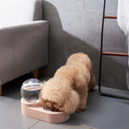 Pet Cat Dog Food Drinking Water Dispenser Pet Dog Cat Double Bowls Feeder Food Water Drink Dispenser Automatic Pet Feeder