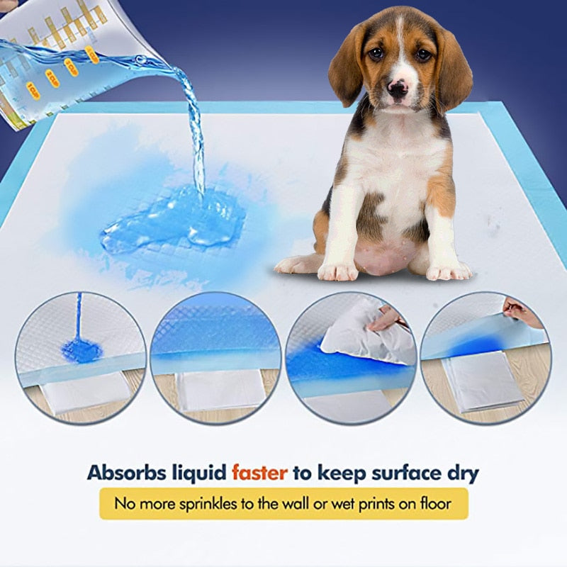 HOOPET Pet Training Pads Super Absorbent Diaper for Dogs Dog and Puppy Leak proof Pee Pads with Quick dry Surface Dog Products|Litter Boxes|